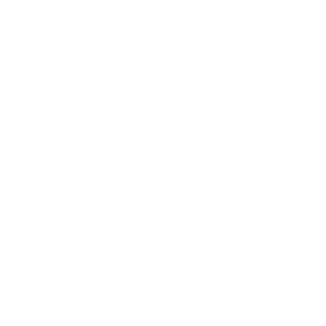 Zodiac Chart